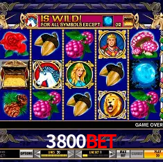 A Experiência Imersiva dos Cassinos Ao Vivo no 3800bet